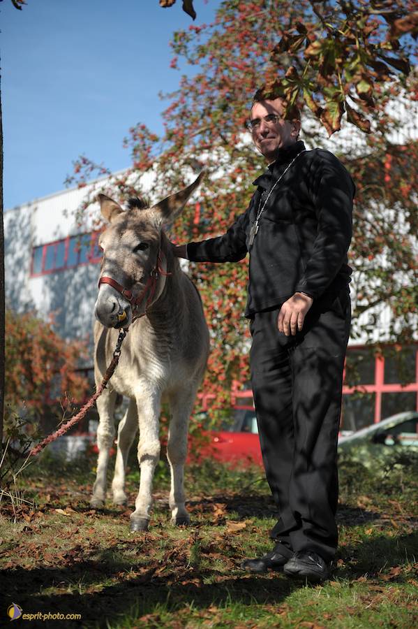 Nom de l'image : D30083728_1_(c)Norbert-JUNG — Description :